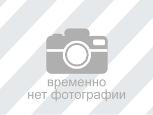 Куварзина Елизавета Романовна Куварзина Елизавета Романовна